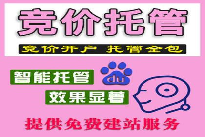百度广告投放策略：成功案例解析